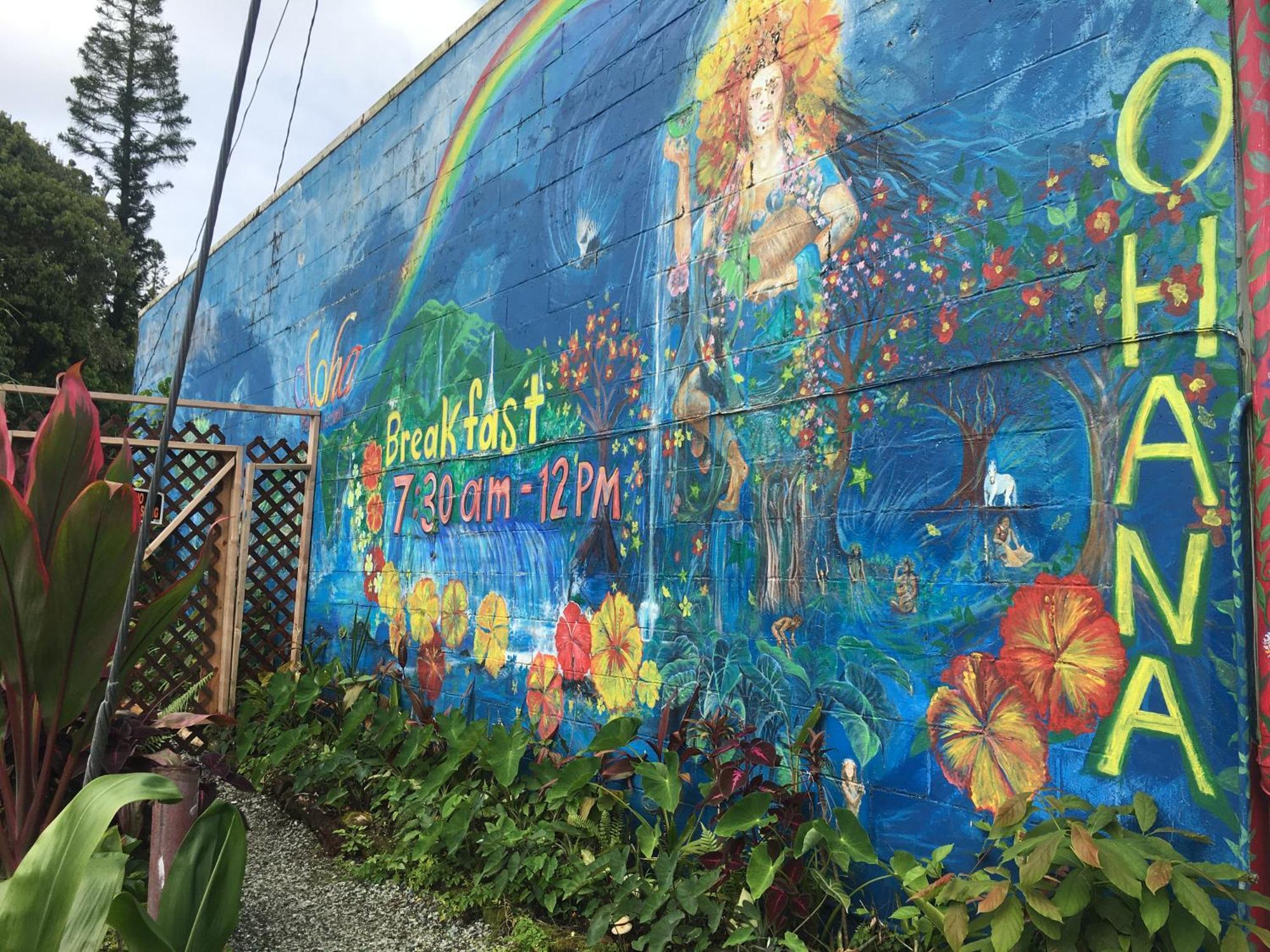 Pahoa Village Hostel エクステリア 写真
